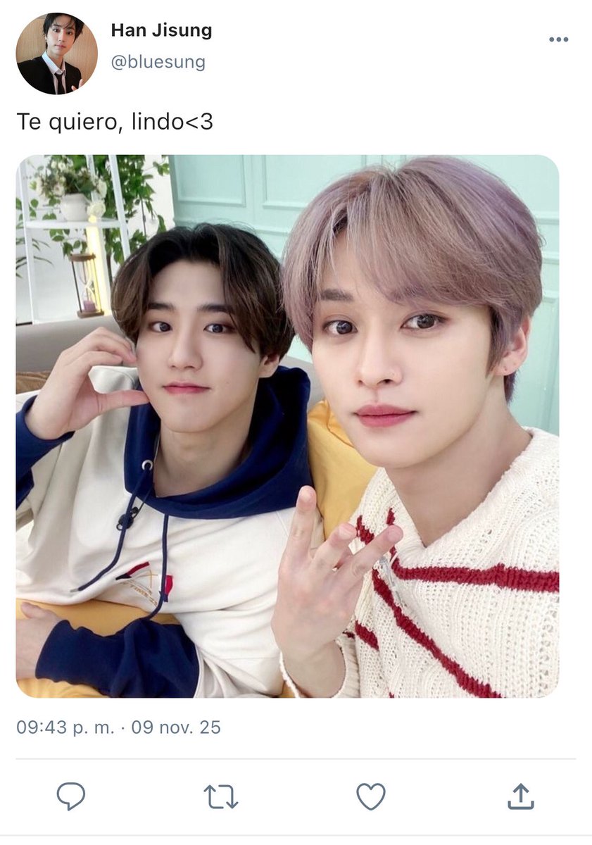 Tina ♪ lvs Lele VA A VER A SKZ tweet media