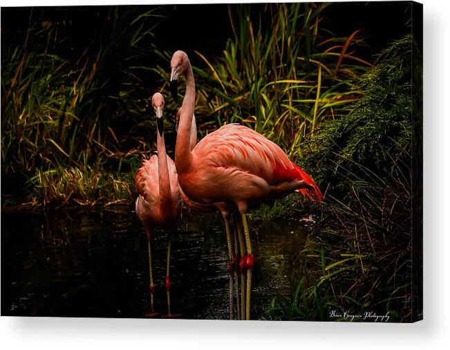 briHouges's tweet image. One of my art prints in a canvas print   If interested in purchasing one of my prints you can go to my website BrianHougesenPhotography.com or direct to the link below 

brianhougesenphotography.com/products/