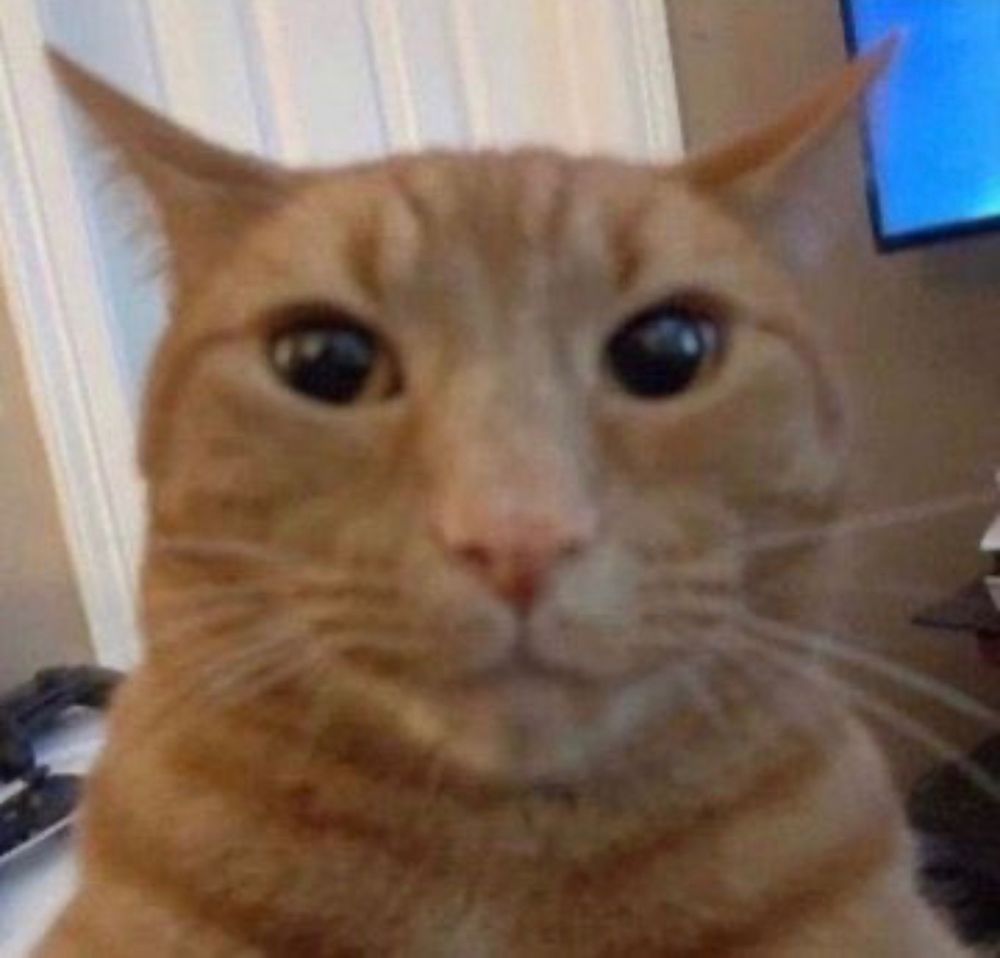 Silvetegi's tweet photo. Frank prefers infinite bacon over infinite Meppo Games but No Meppo Games https://t.co/RWTHgGjbFx