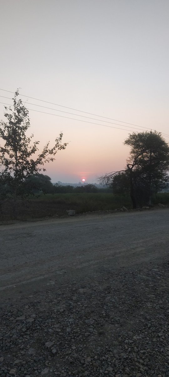 code_n_learn's tweet image. This morning and disciplined workout, both gives unmatched energy.