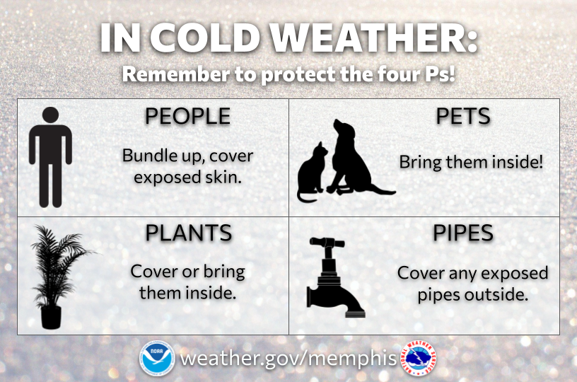 Be sure to prepare for cold weather tomorrow and Tuesday mornings by protecting the four Ps: people, pets, plants, and pipes 🧍🏻‍♂️🐾🪴⛲