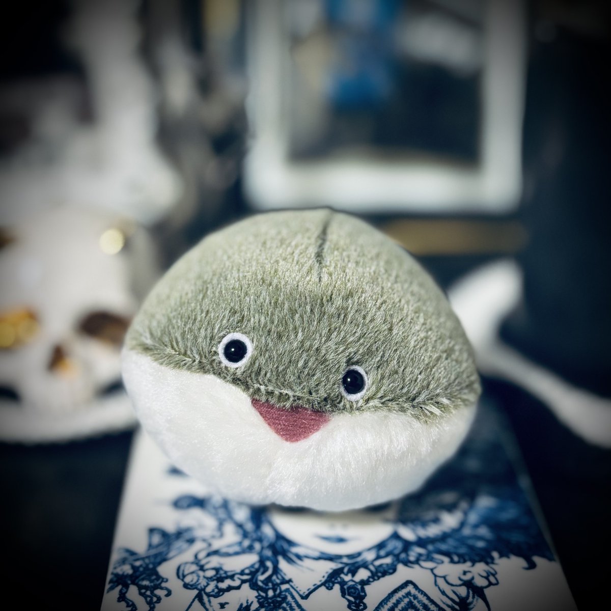 サカバンバスピスの居る生活(°▽°)