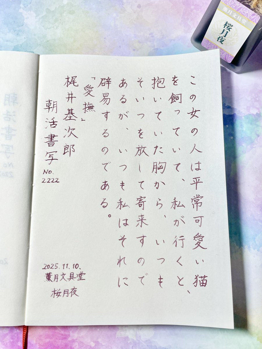 お題ありがとうございます。

『愛撫』梶井基次郎
#朝活書写 No.2222
#朝活書写_2222

使用インク 薫月文具堂 桜月夜（E）