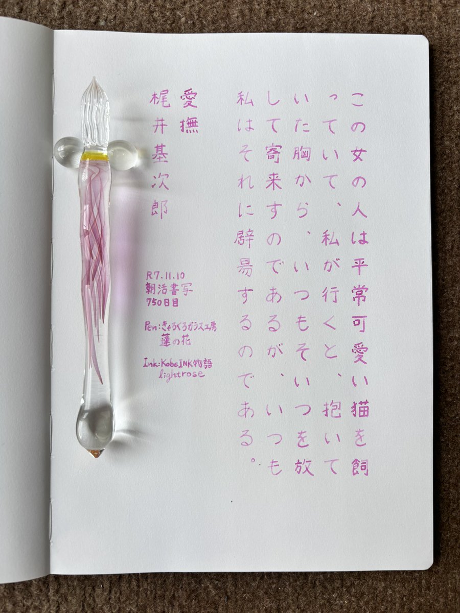 お題ありがとうございます。
今日はお休み✨…ですが、家の用事やら何やらで結構忙しくなりそう💨
#朝活書写 
#朝活書写_2222 
#ガラスペン 
ペン：きゃろくろガラス工房 蓮の花
インク：KobeINK物語 lightrose