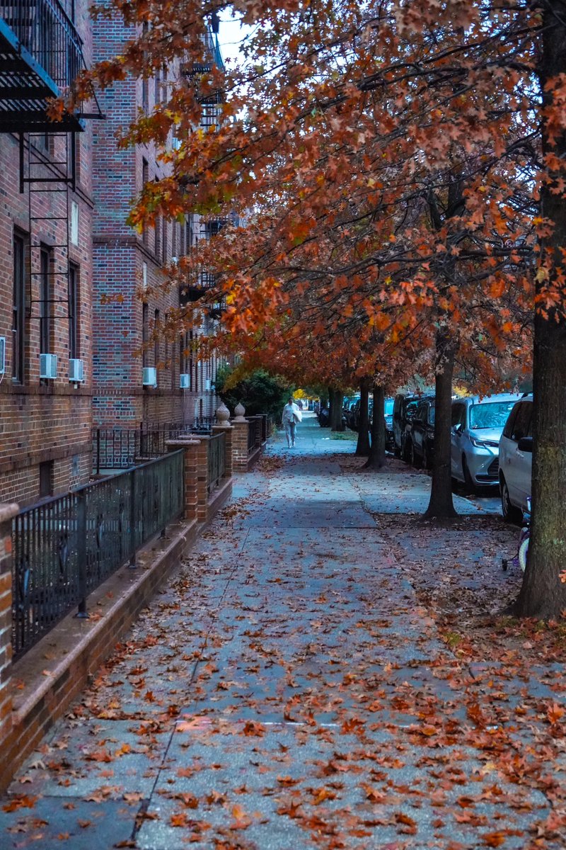 Bensonhurst Brooklyn 

.
.
#NY1Pic