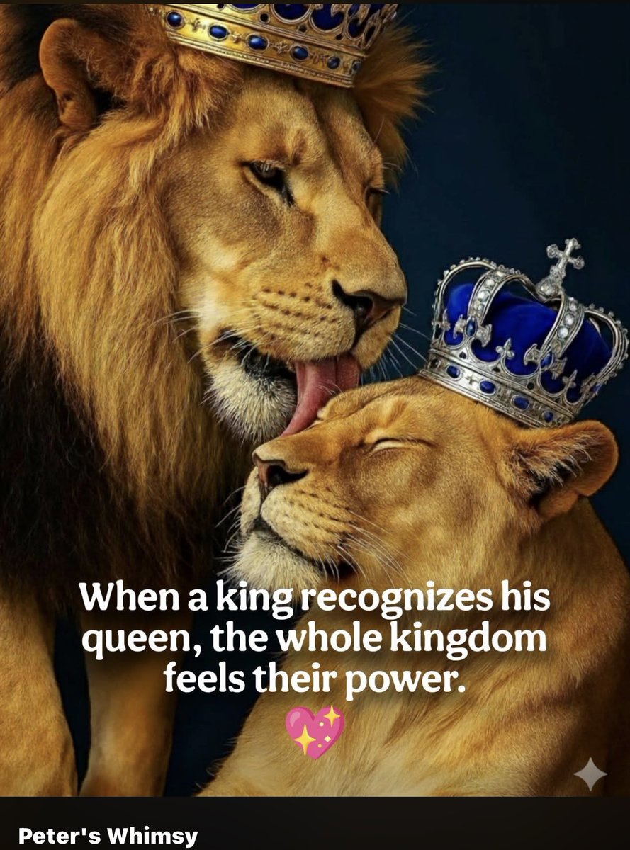 lucy_aidee's tweet image. 