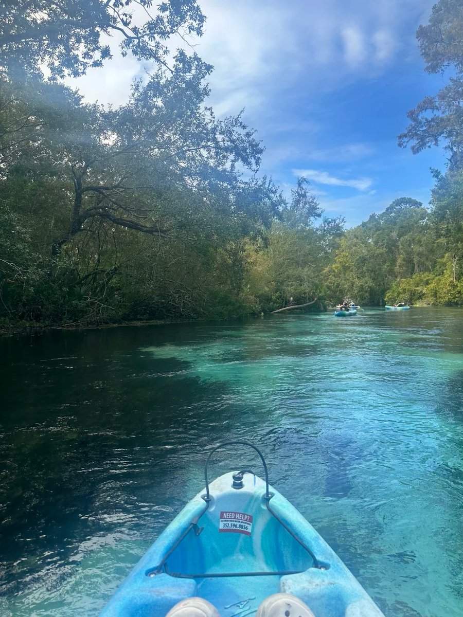 ihuh268's tweet image. Since my friend and I were both kayaking beginners, and the waterway was narrow with many bends, the two-hour ride was so bumpy that we started to question our existence and our arms ached... 😄
#NotesInspiration #GlassySea