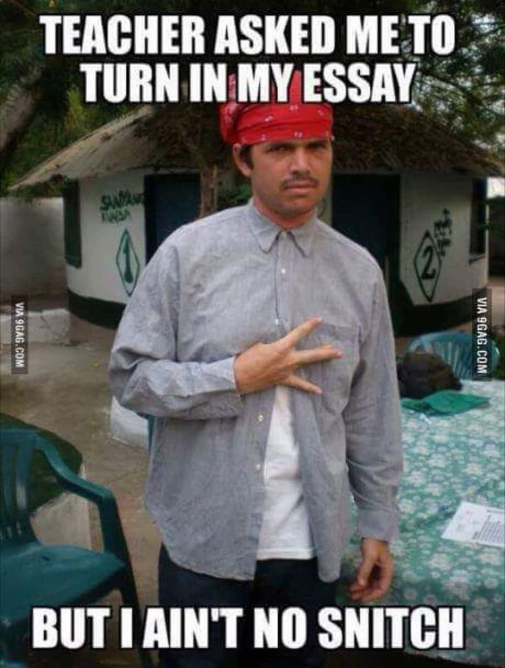 Prairie_Scot (@prairie_scot) on Twitter photo 