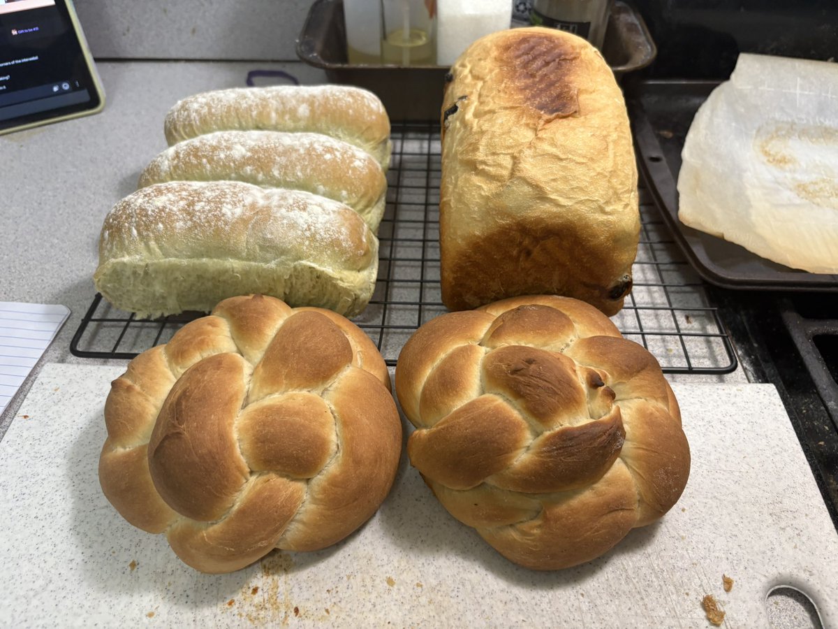 SalteaKichee's tweet image. These lil prototype breads were fairly solid!
The churiruby bread will be posted and written down, so yeah!

VTubers I’ve turned into bread:
@/DaiShimaVT @mipyunvt @/churirubyVT!

Daishima &amp;amp; Mipyun are still going to the test chambers but the Churiruby… is on the fence!