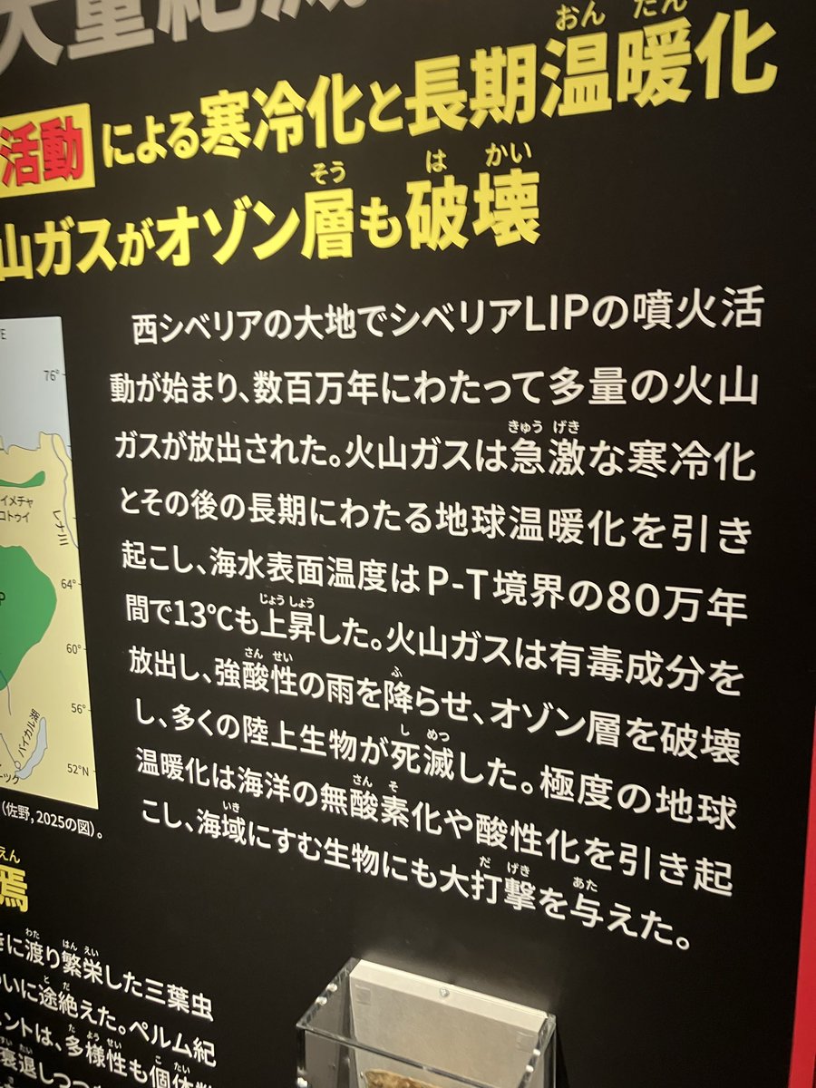 Gibson メダリオン/アカウント/トラブル要注意 Gibson 1971 Flying V