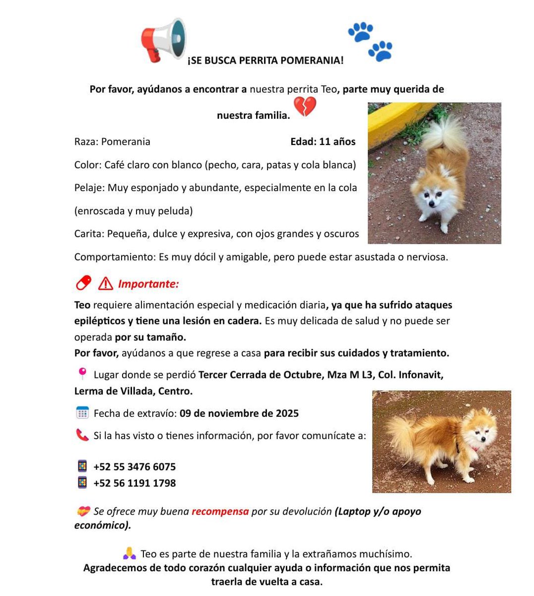 Agradezco apoyo en la difusión de este mensaje.