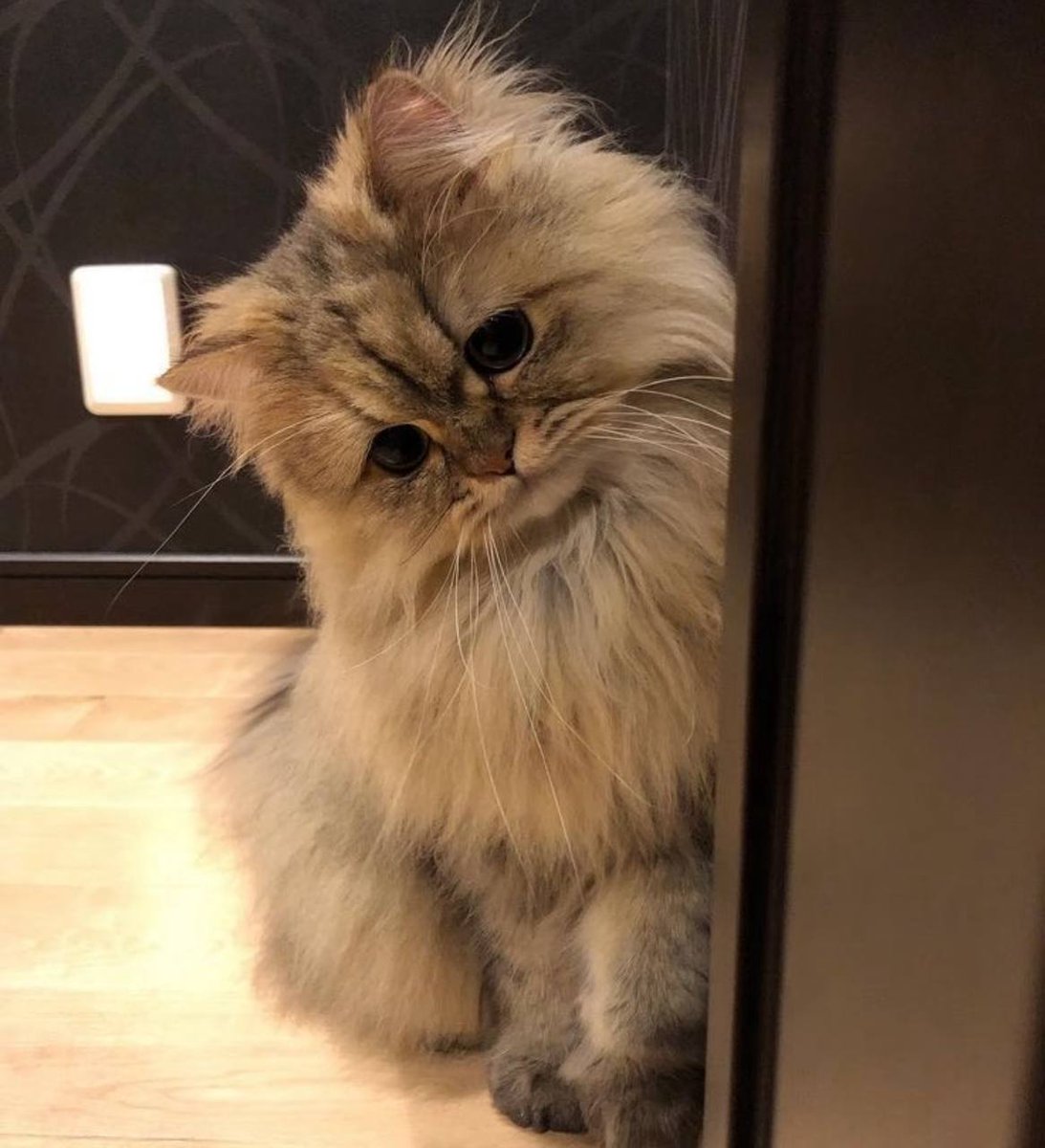 mikemax25's tweet image. 