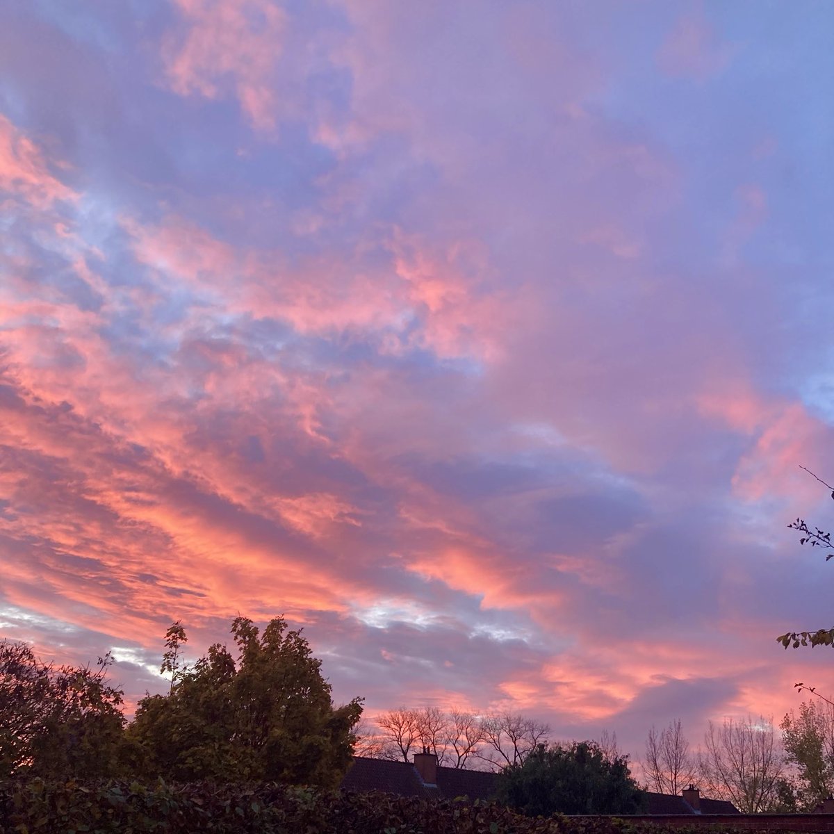 Assebroek 7:48 #vrtweer ⁦<a href="/BuienradarBE/">BuienradarBE</a>⁩ ⁦<a href="/Weerbord/">Weerbord☀️☔️</a>⁩