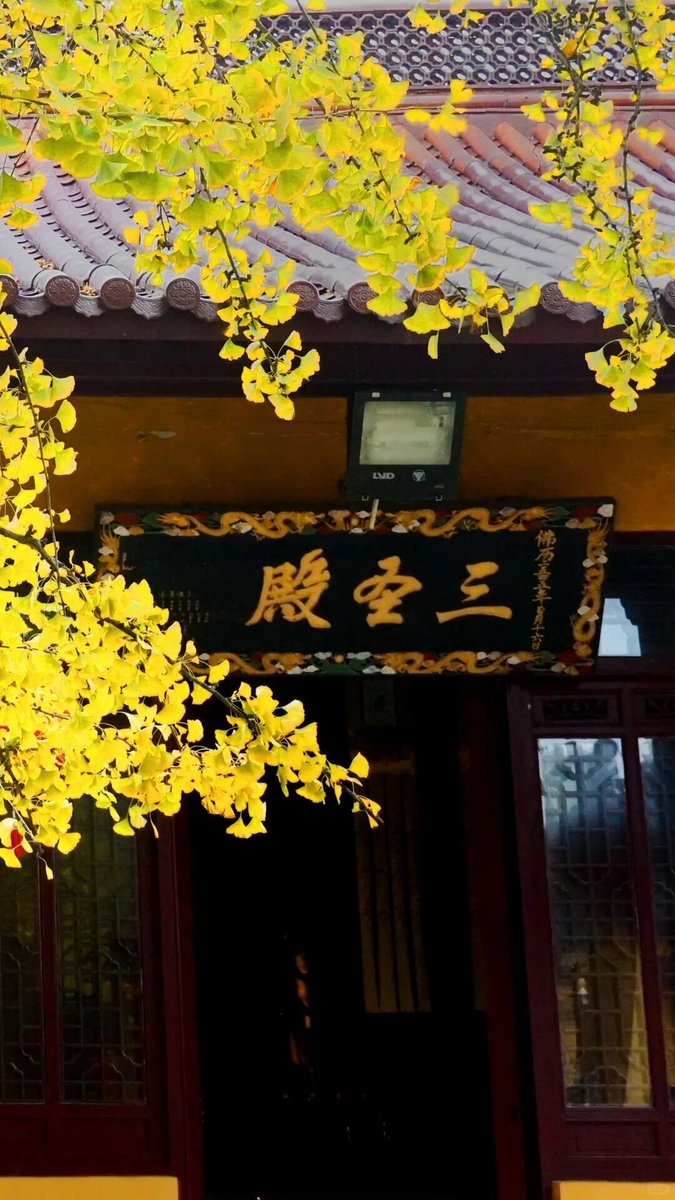 iZhenjiang tweet media