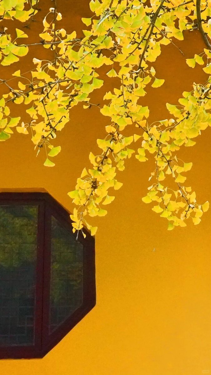 iZhenjiang tweet media