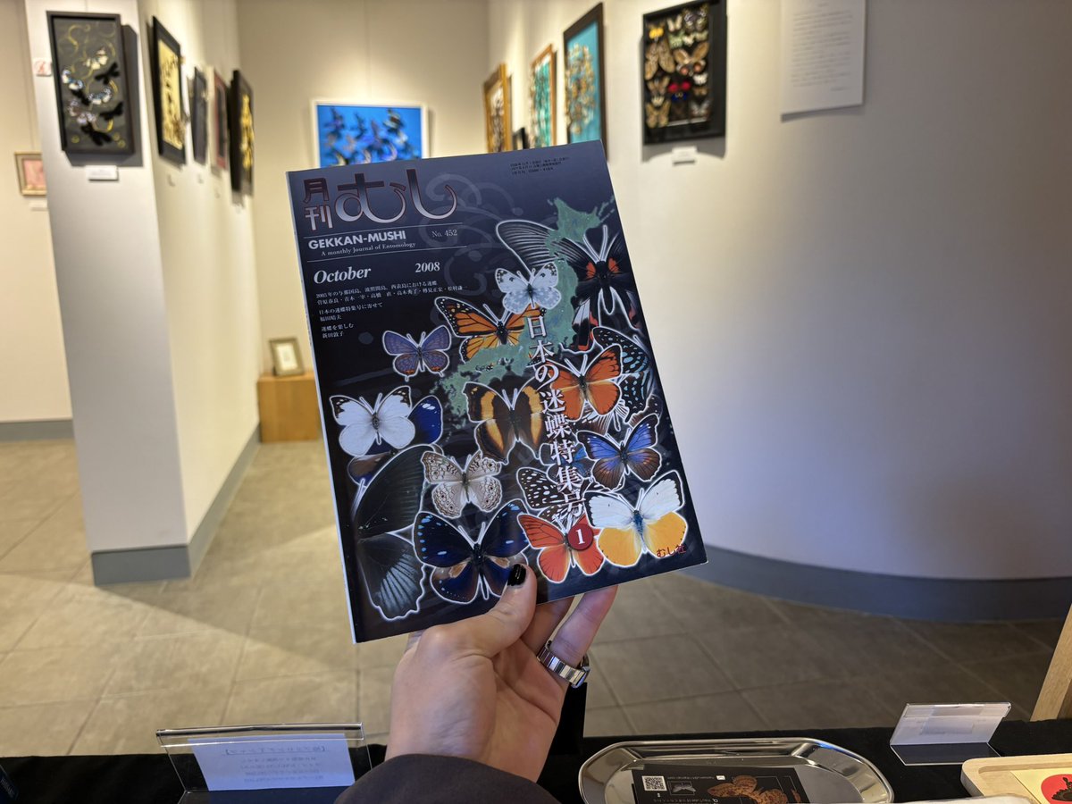 4日目にしてようやく落ち着いたので大好きな鱗翅に囲まれた空間に音楽かけてカフェラテ飲みながらお勉強タイム☕️
こんなにまったりとした時間を過ごすのはいつぶりだろうか…？
※もちろん来場もお待ちしております