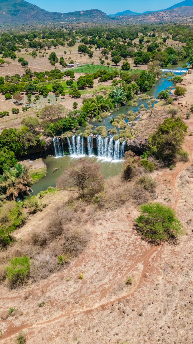 @Stellamaris tweet media