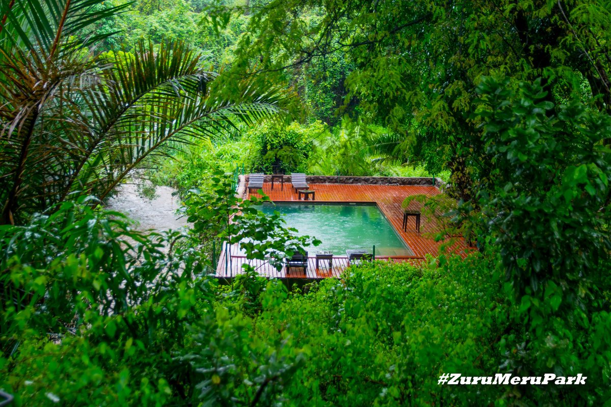 @Stellamaris tweet media