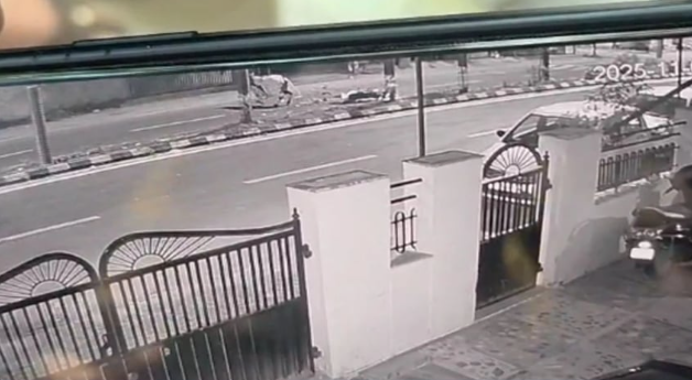 Stray cattle menace turns fatal in Vadodara: Biker dies, another injured