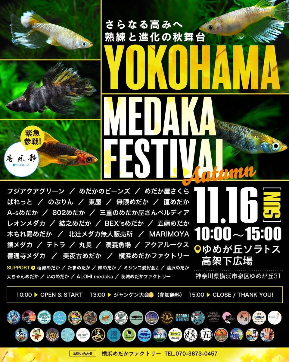 sakashin39's tweet photo. 11/16(日)
アクアルークス今シーズンラストイベント！ https://t.co/2gmVbEW70j