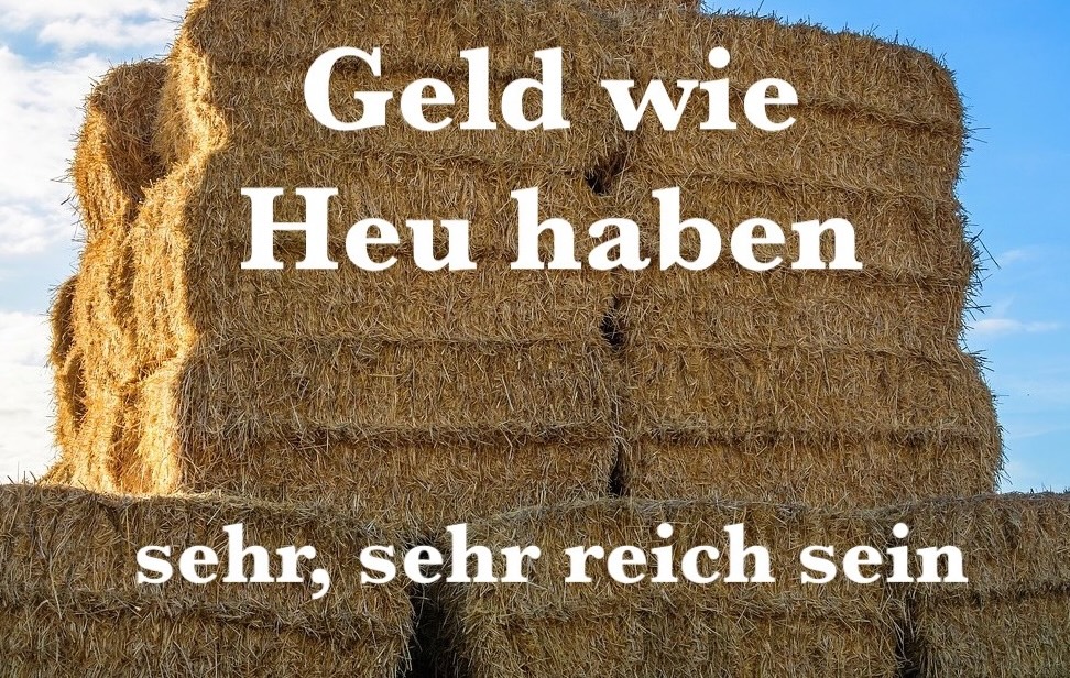 1PortionDeutsch's tweet image. #Redewendung #Wortschatz #Deutschlernen #LearnGerman #Deutsch

Geld wie Heu haben - be very rich

Wenn ihr Geld wie Heu hättet, was würdet ihr damit machen?