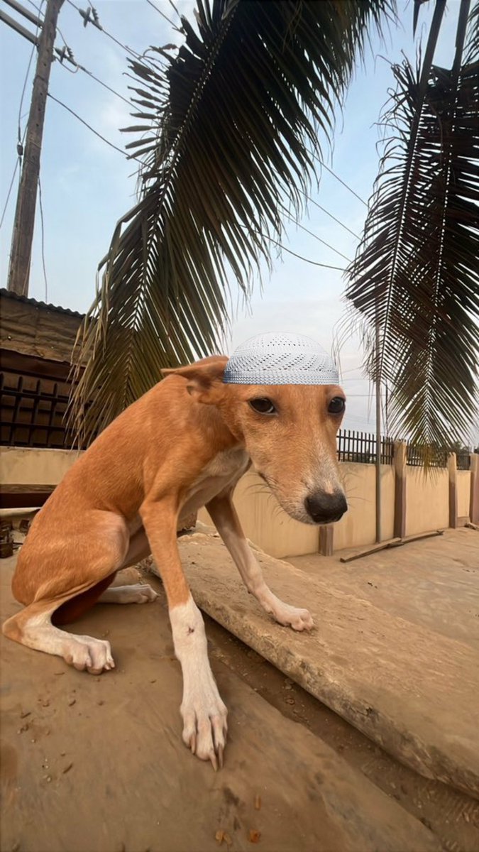 Wahaini ndio tunaamka kmmk....!