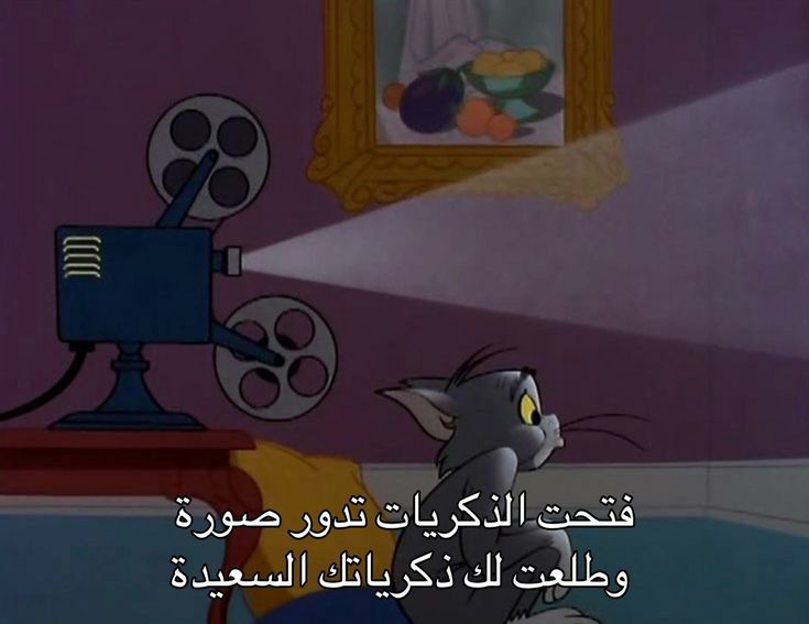 ِ (@euecz) on Twitter photo 