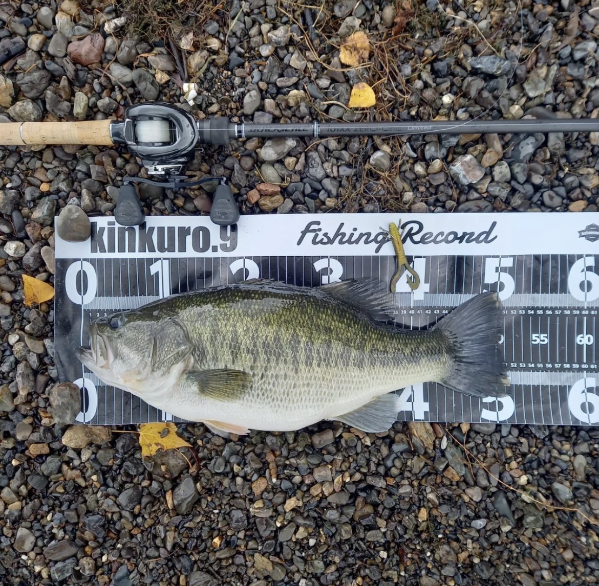 VIPプロジェクト 海神Ⅲ 4-63 VIPプロジェクト 海神Ⅲ 4-63 VIP