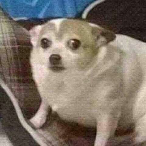 Novallee Dickenson. (@imjxstmusic) on Twitter photo 