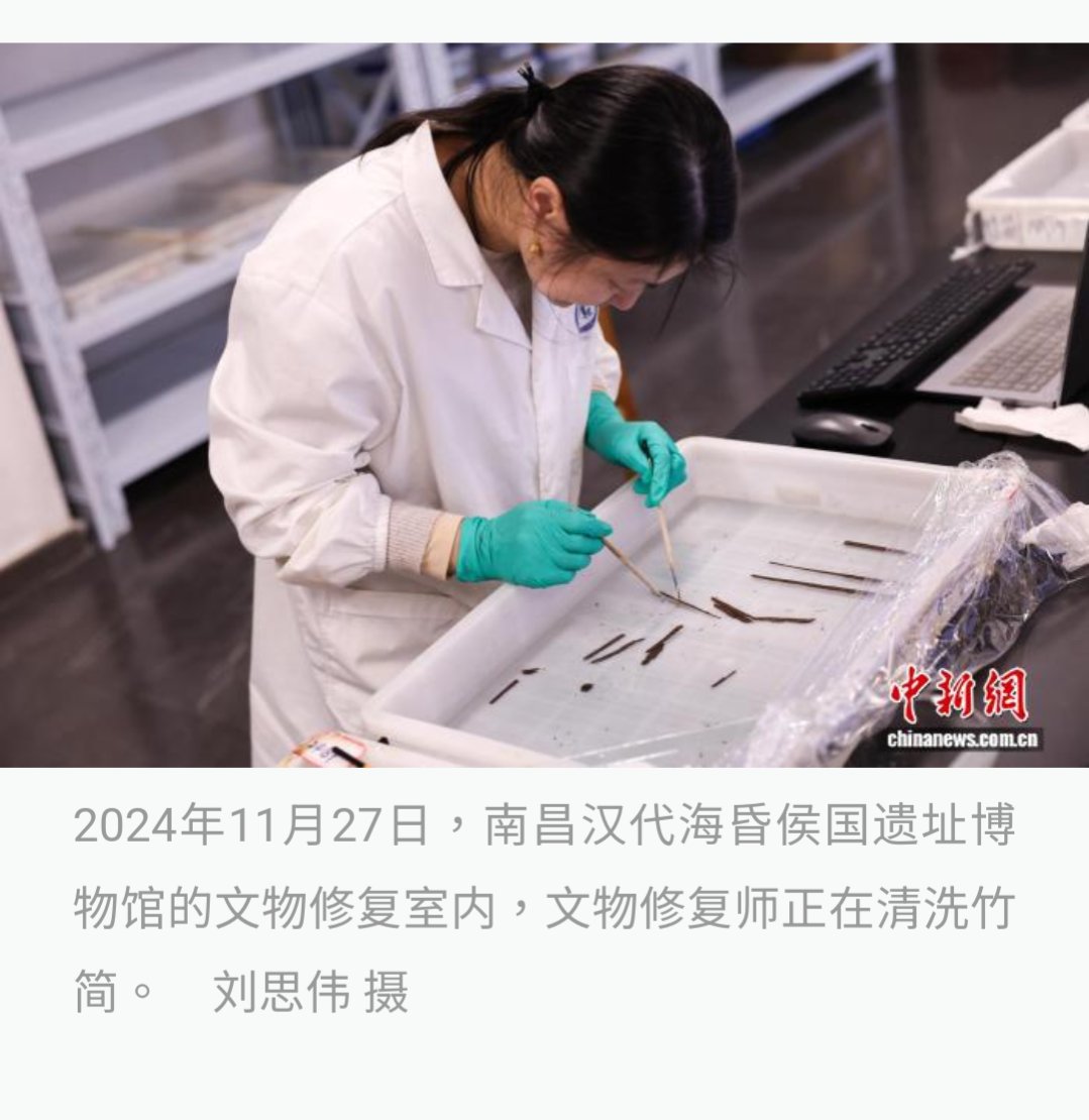 くるーがー大将に狂い咲き Mengo do Japao , ex fotografo on X