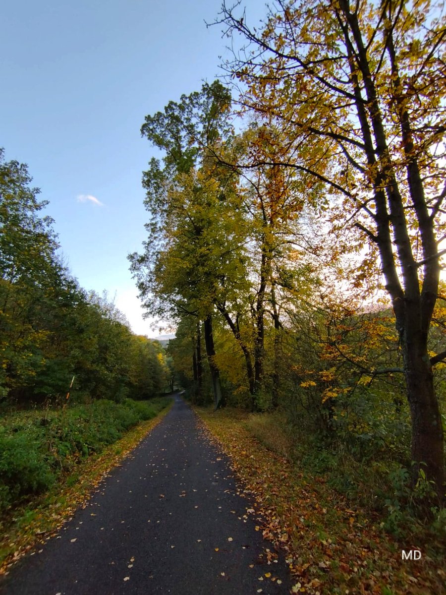 MartinaDvorsk2's tweet image. 