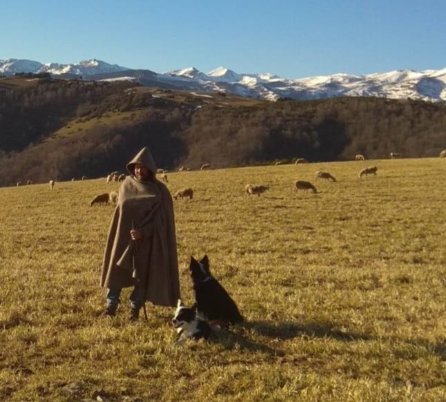 Com més fort és l'estiuet, guarda't més del fred.
#Proverbis
#SomPastors
#SomCultura
#MemòriaDeLaTerra 
#EstiuetDeSantMartí