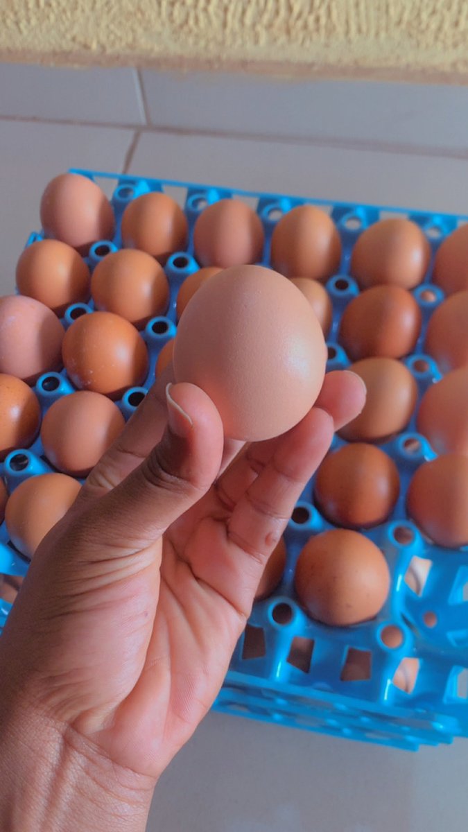 I specialize in baking and making pastries and I also supply fresh eggs.