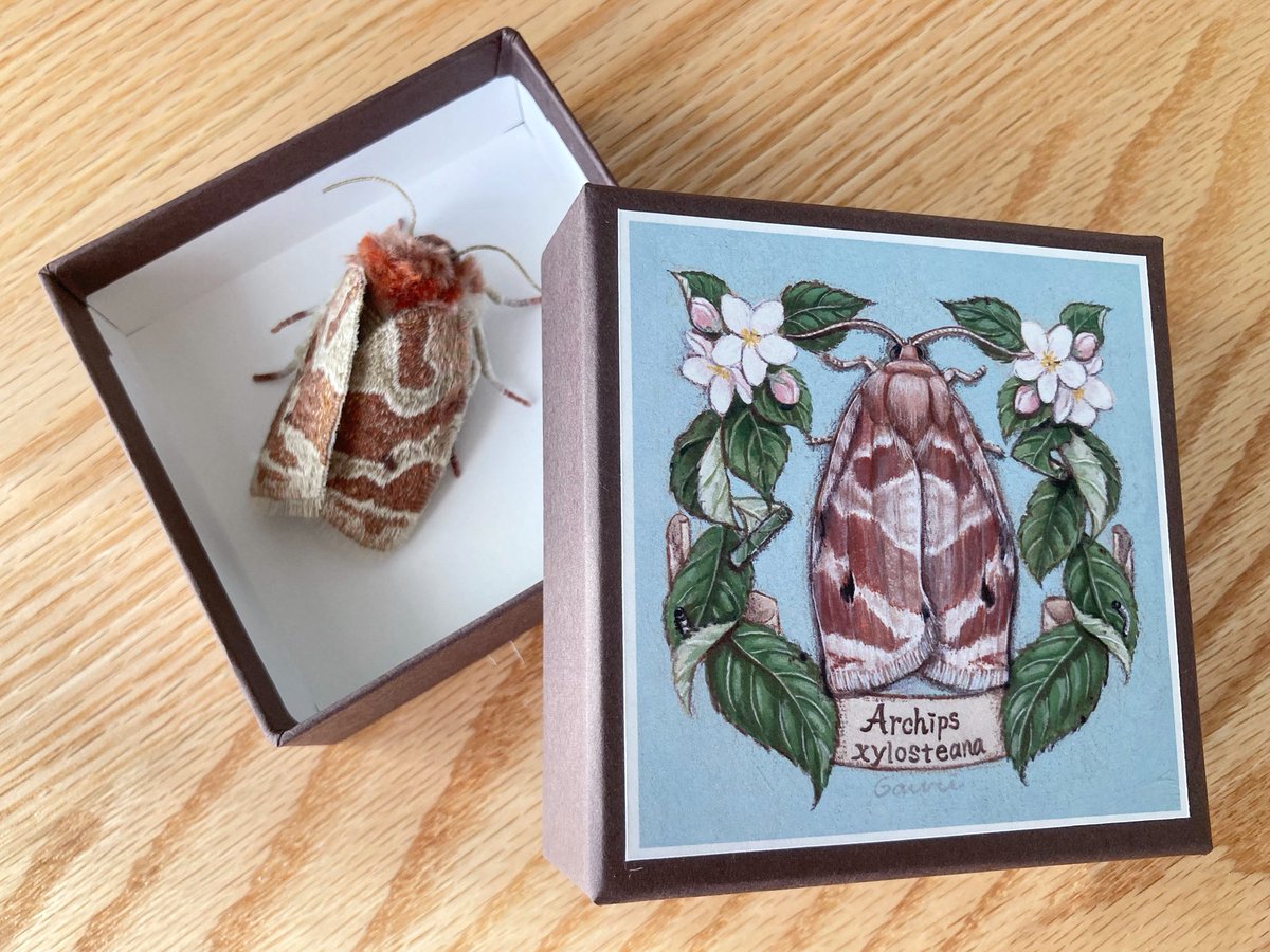 蛾売りおじさん tweet media