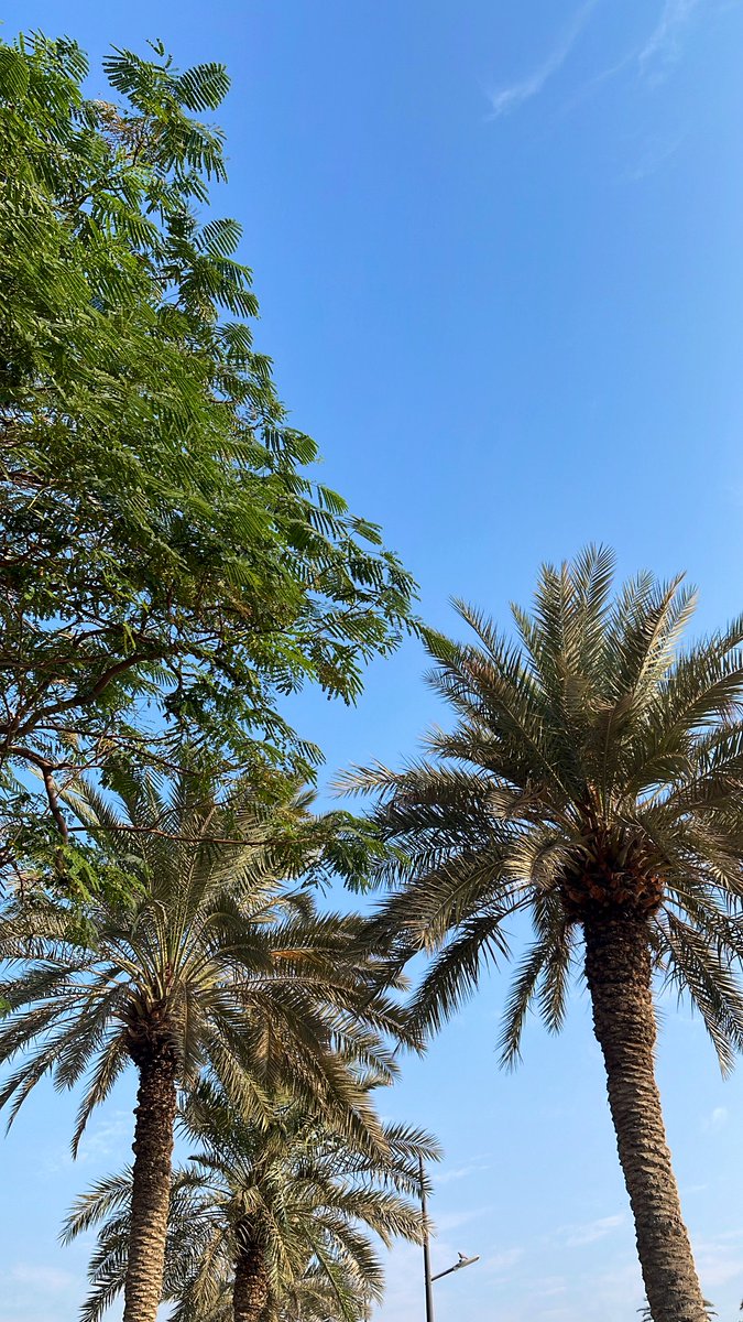 ِ (@7000q_) on Twitter photo 