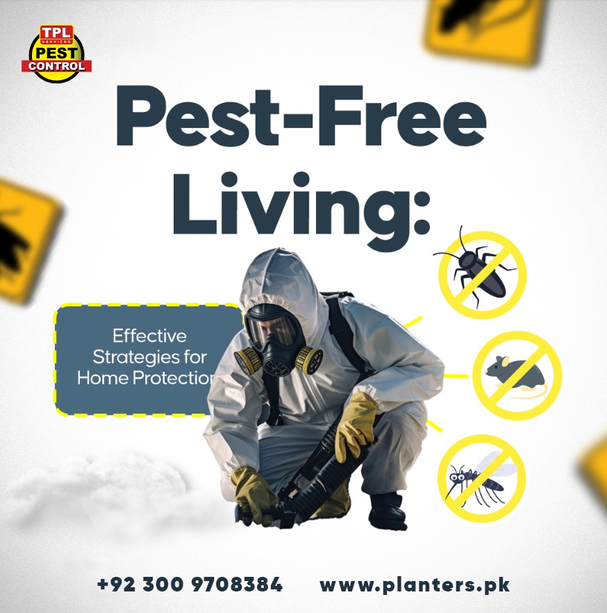 TPLPestControl's tweet image. 