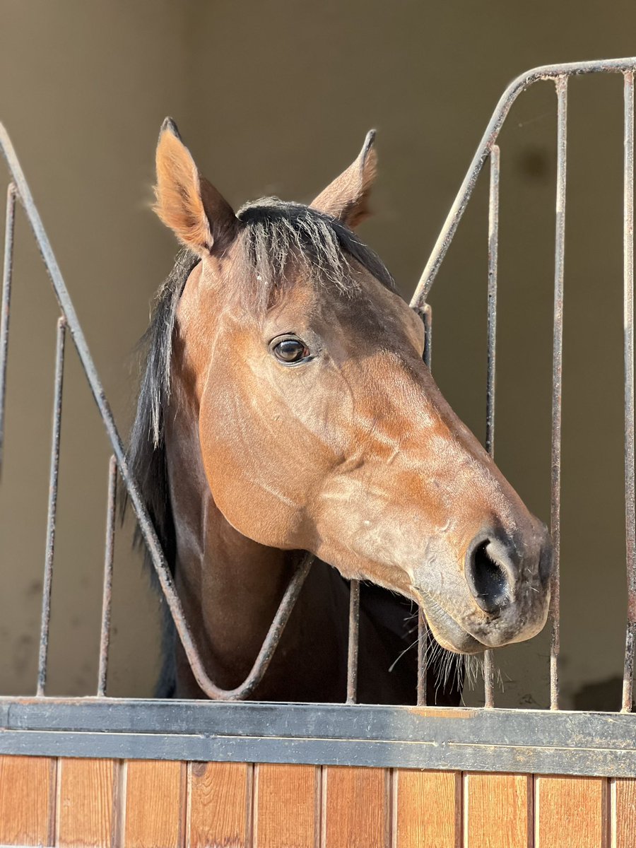 Evladımız Upamecano’nun Adana kış tatili başladı 🏖️
