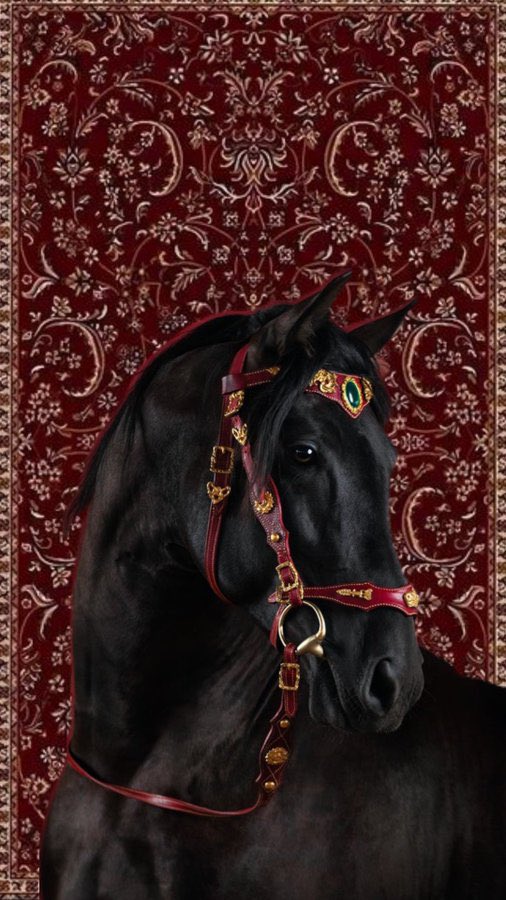 MsenX's tweet photo. https://t.co/cElyFIcAAt