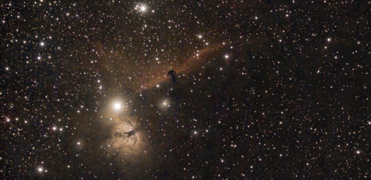 IssColomboB's tweet image. Nebulosa cabeza de caballo, Barnard 33.
Viña del Mar.