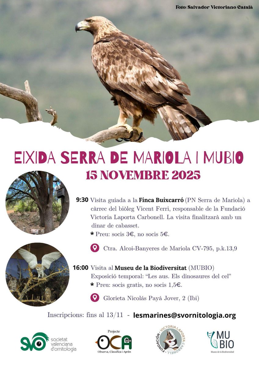 El próximo sábado 15 de noviembre tenemos salida a la Sierra de Mariola. Toda la información 👇🐦