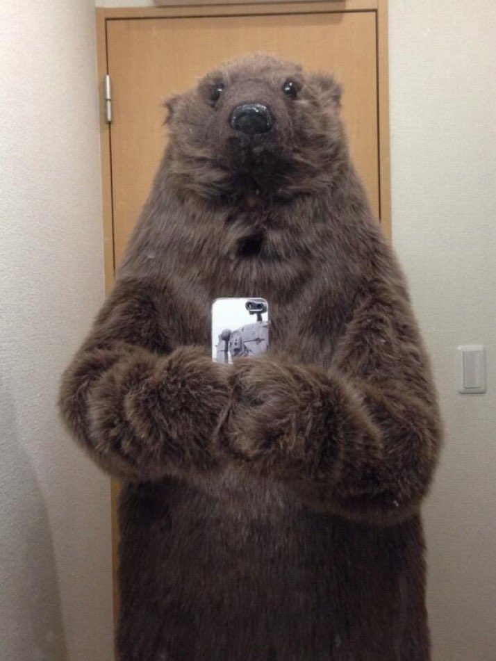 本格的モヘヤの熊 山本黒壱@もうこれが本垢で良いや on X