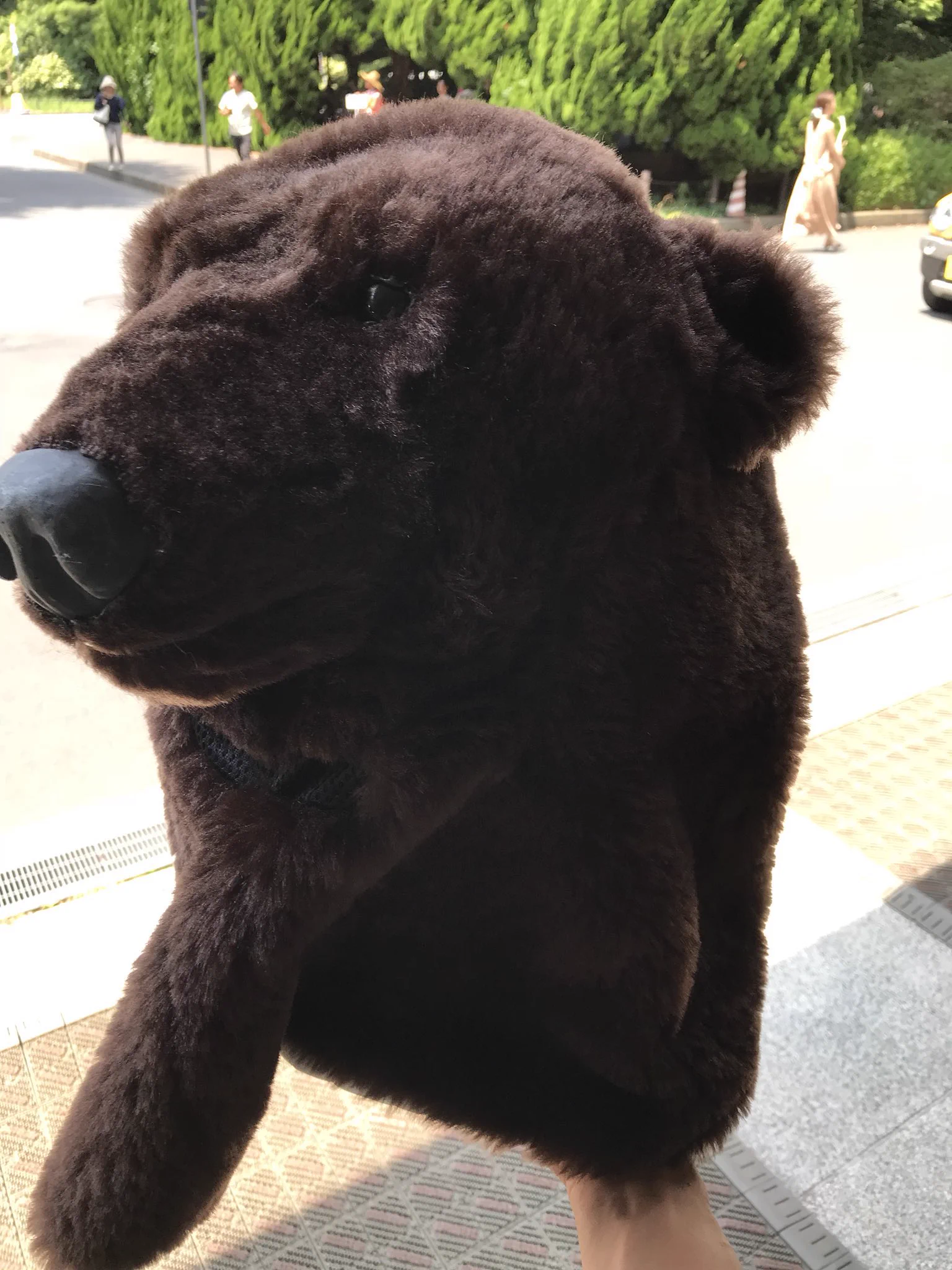 デゴチ on 私が趣味でリアルなクマの着ぐるみ作り始めた理由は スキー場に遊びに行った時に ここでリアルなクマの着ぐるみ着て茂みから出てきたらみんな驚くだろうな と思った というイタズラ心からでした 当時はクマ遭遇の発生件数も多くなく ギリ冗談で終わった