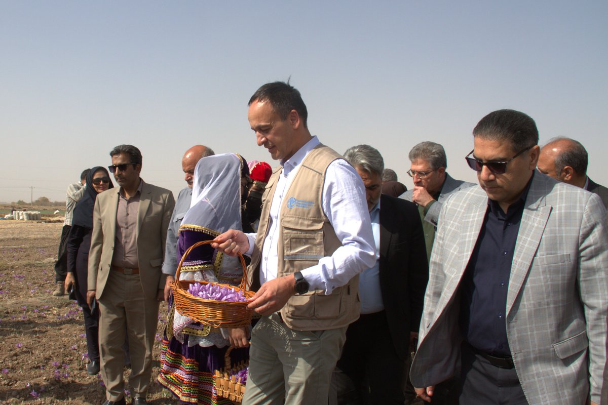 FAOIran's tweet photo. FAO delegation led by FAO Representative, Farrukh Toirov, joined saffron farmers at the start of the harvesting season 🌸
The visit celebrated Iran’s 🇮🇷 “red gold” through culture, tradition, and innovation in saffron production. #FAO #Saffron 

More: https://t.co/5eVJJH3mzF https://t.co/EulPiTF9gJ