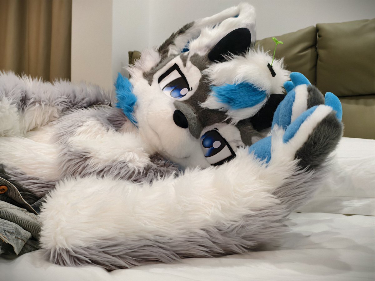 喂！在说你呢 在干嘛呀~
#furry #furmony