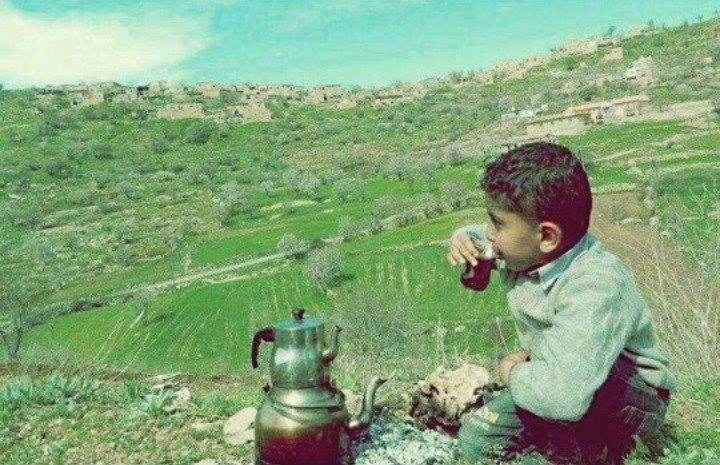 Bugün putlaştırdıkları atalarına tapıp putperestliği camilere taşıyan, puta tapmayan Müslümanlara saldıran hakaret eden kemalistler yarın;
Diyecekler ki: 
“Rabbimiz! Bizler efendilerimize ve büyüklerimize itaat ettik. (Onlar da) bizi (doğru yoldan) saptırdılar”
“Rabbimiz! Onlara