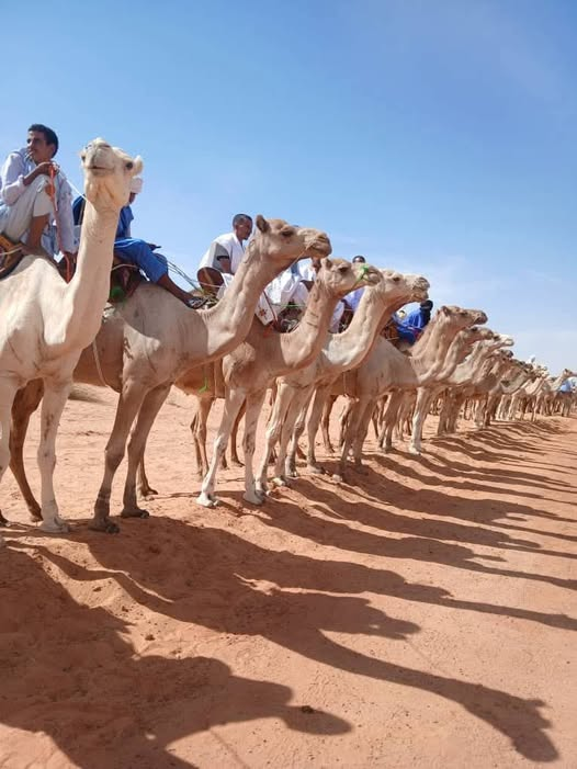 mudiyashamea's tweet image. الحوض الشرقي  🥰