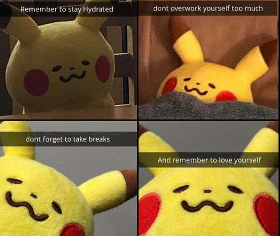 WholesomeMemes (@wholesomememe) on Twitter photo 