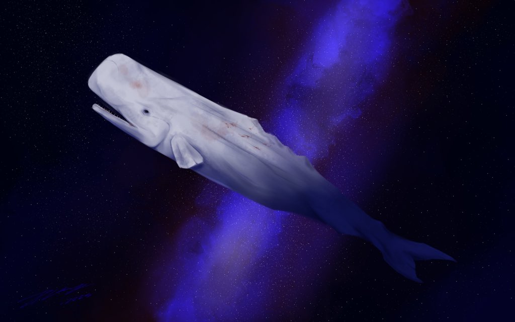 TDPlague's tweet photo. Whale https://t.co/SnYJ6eluIG