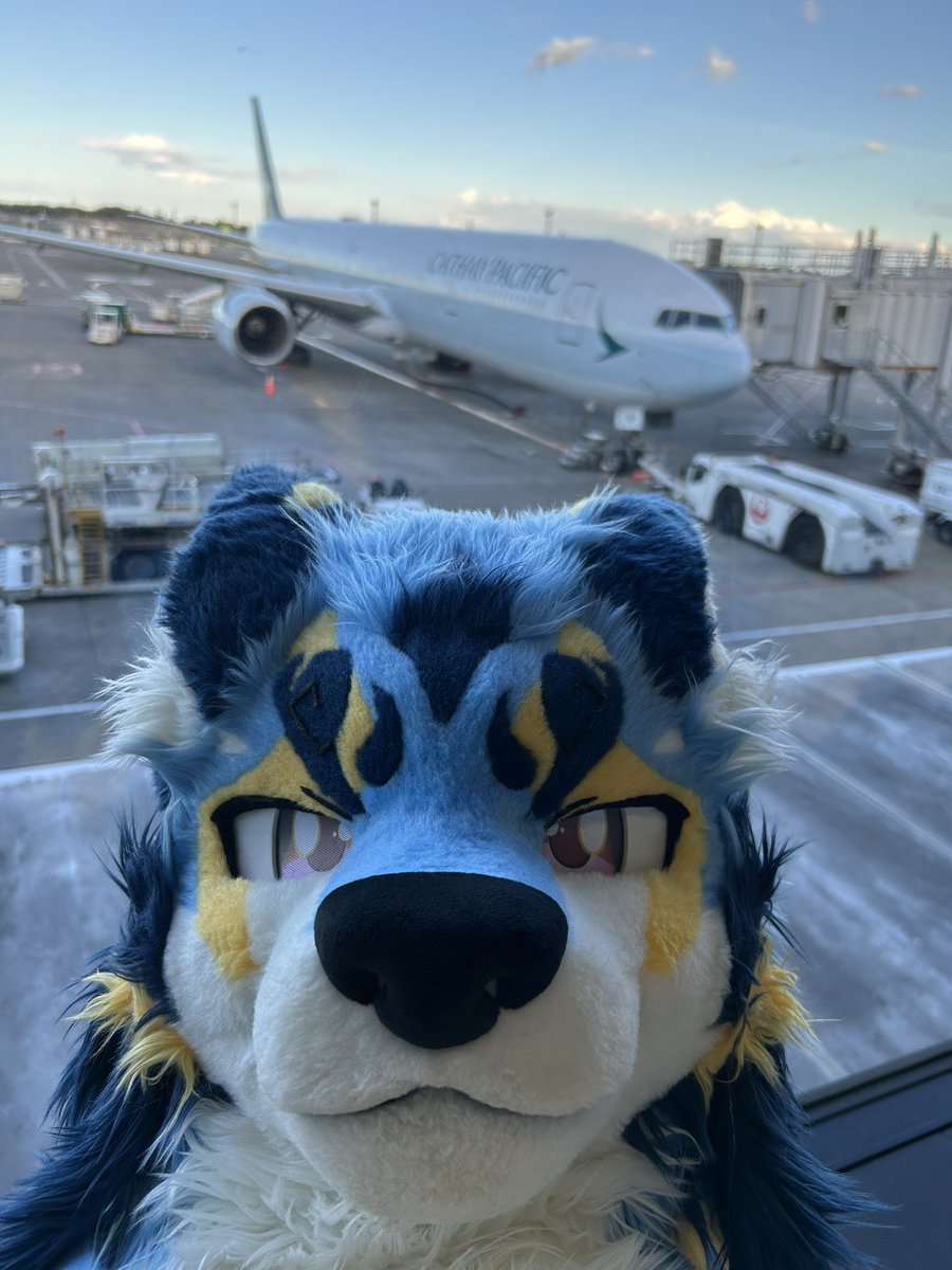 みんなありがとう〜！🥰
旅はまだ終わってない、ちょっとのお別れだよ〜✈️