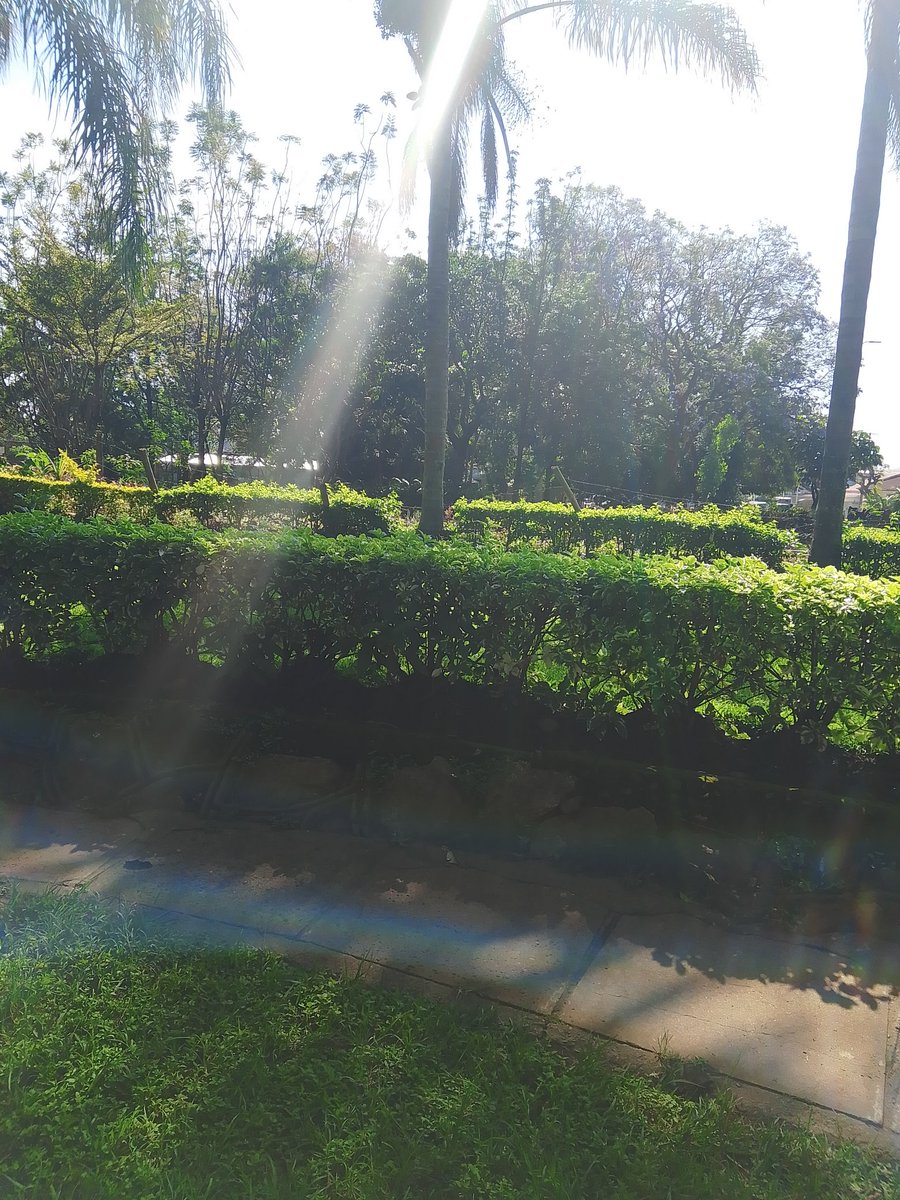 Babu Wa Maminister (@babu_wa27638) on Twitter photo 